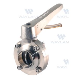 Butt-Weld Butterfly Valve