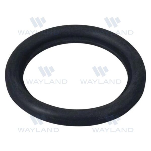 DIN BUNA Gaskets (40MPU-DIN)