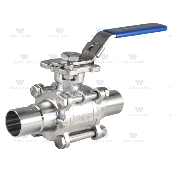 Extended Butt-Weld 3PC Encapsulated 2-Way Ball Valve - PTFE -316L - (BVBWE)