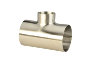 Polished Butt Weld Fittings