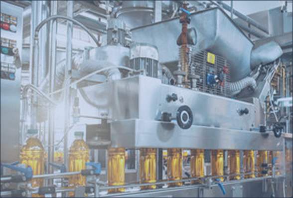 Packaging and processing systems
