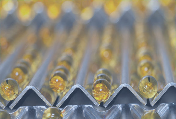 Wayland sanitary stainless inventory for nutraceutical and supplement manufacturing
