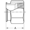 Clamp x Female NPT Adapter (22MP) - Image 3