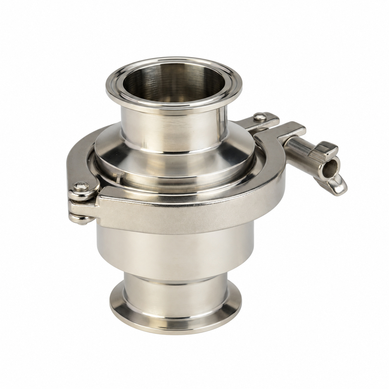 Wayland spring check valve